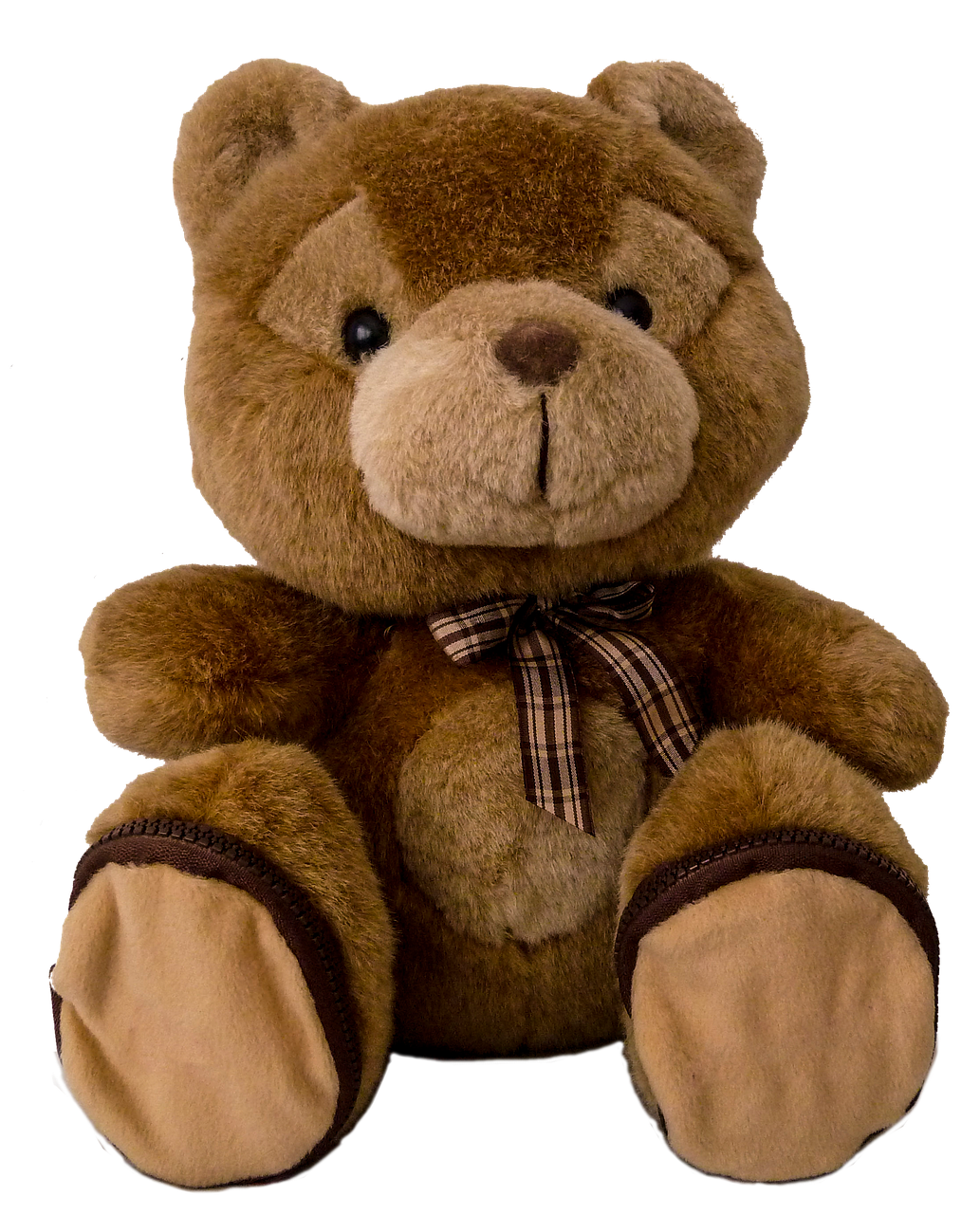 teddy, teddy bear, cuddly toy, stuffed animal, toy, cozy, children's toys, close up, isolated, teddy, teddy bear, teddy bear, teddy bear, teddy bear, teddy bear, stuffed animal, stuffed animal